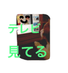 かわいいねこ ころん2。（個別スタンプ：27）