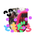 かわいいねこ ころん2。（個別スタンプ：35）
