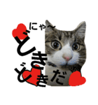 Love cocochan（個別スタンプ：1）