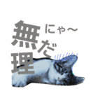 Love cocochan（個別スタンプ：6）