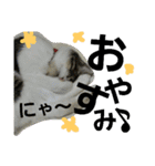 Love cocochan（個別スタンプ：13）