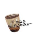 広島ちわわ の もも太くん（個別スタンプ：5）