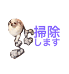 広島ちわわ の もも太くん（個別スタンプ：11）