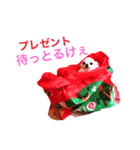 広島ちわわ の もも太くん（個別スタンプ：16）