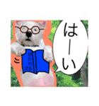 West Highland White Terrier's Anthie NO3（個別スタンプ：2）