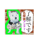 West Highland White Terrier's Anthie NO3（個別スタンプ：4）