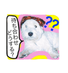 West Highland White Terrier's Anthie NO3（個別スタンプ：11）