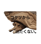 雑種犬リンコの日常（個別スタンプ：28）