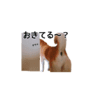 あぽろくんです。2（個別スタンプ：9）