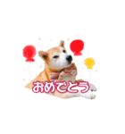 あぽろくんです。2（個別スタンプ：15）