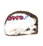 コムはがんばる（個別スタンプ：6）