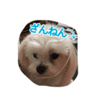 コムはがんばる（個別スタンプ：7）