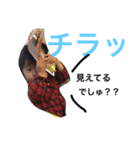 れりあうて（個別スタンプ：13）