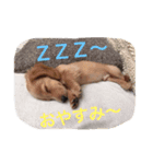 Earlstamp（個別スタンプ：2）