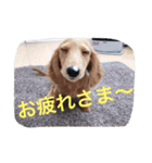Earlstamp（個別スタンプ：3）