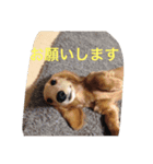 Earlstamp（個別スタンプ：5）