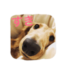 Earlstamp（個別スタンプ：6）