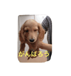 Earlstamp（個別スタンプ：8）