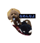 トイプードルのもこちゃん（個別スタンプ：7）