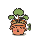 Little cypress bonsai（個別スタンプ：1）