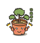 Little cypress bonsai（個別スタンプ：3）