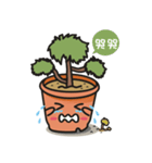 Little cypress bonsai（個別スタンプ：7）