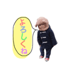 ちゃくまくん（個別スタンプ：6）