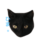 ちびーず大集合2（個別スタンプ：3）