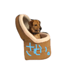 ちびーず大集合2（個別スタンプ：6）