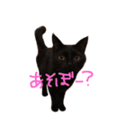 ちびーず大集合2（個別スタンプ：12）