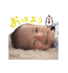 ひなくんのスタンプ（個別スタンプ：1）
