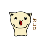 HuTu Cat -Lovely HuTu Cat（個別スタンプ：13）