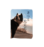 オレオの勇気（個別スタンプ：1）