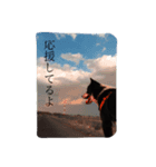 オレオの勇気（個別スタンプ：2）