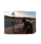オレオの勇気（個別スタンプ：5）