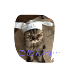 麗太だよ（個別スタンプ：5）