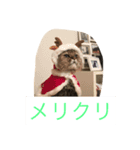 麗太だよ（個別スタンプ：6）