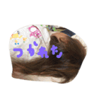 HyumaHyuma（個別スタンプ：17）
