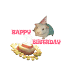 Bobo_the guineapig（個別スタンプ：13）