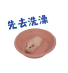 Bobo_the guineapig（個別スタンプ：18）