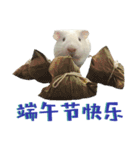 Bobo_the guineapig（個別スタンプ：23）