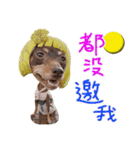 Little P Dog-3（個別スタンプ：5）