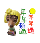 Little P Dog-3（個別スタンプ：6）