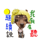 Little P Dog-3（個別スタンプ：10）