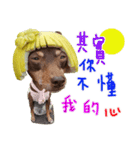 Little P Dog-3（個別スタンプ：14）