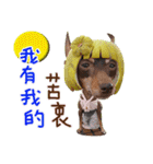 Little P Dog-3（個別スタンプ：16）