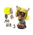 Little P Dog-3（個別スタンプ：17）