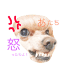 りおと愉快な仲間たち。（個別スタンプ：2）