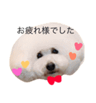 りおと愉快な仲間たち。（個別スタンプ：22）