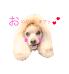 りおと愉快な仲間たち。（個別スタンプ：23）